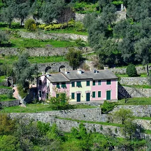 Olivari - Apt Il Cedro Appartamento